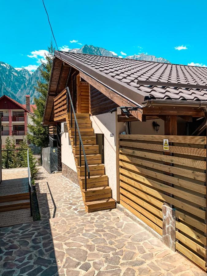 Moon Montana Buşteni Exteriér fotografie
